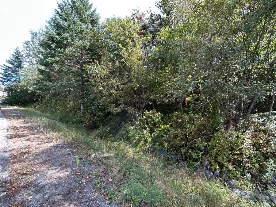 M38/L33 Grandview Avenue, Rangeley, ME 04970 - #3