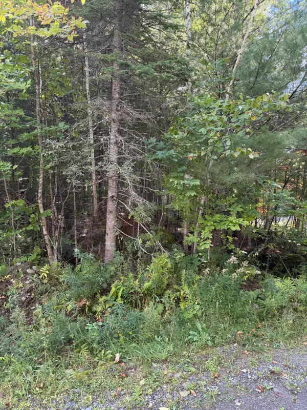M1 L95 Sunset Ridge, Sebec, ME 04481