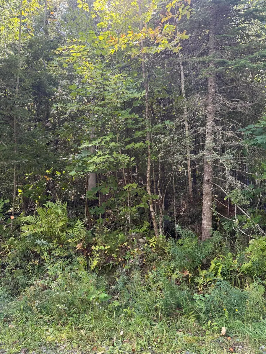 M1 L95 Sunset Ridge, Sebec, ME 04481 - #2