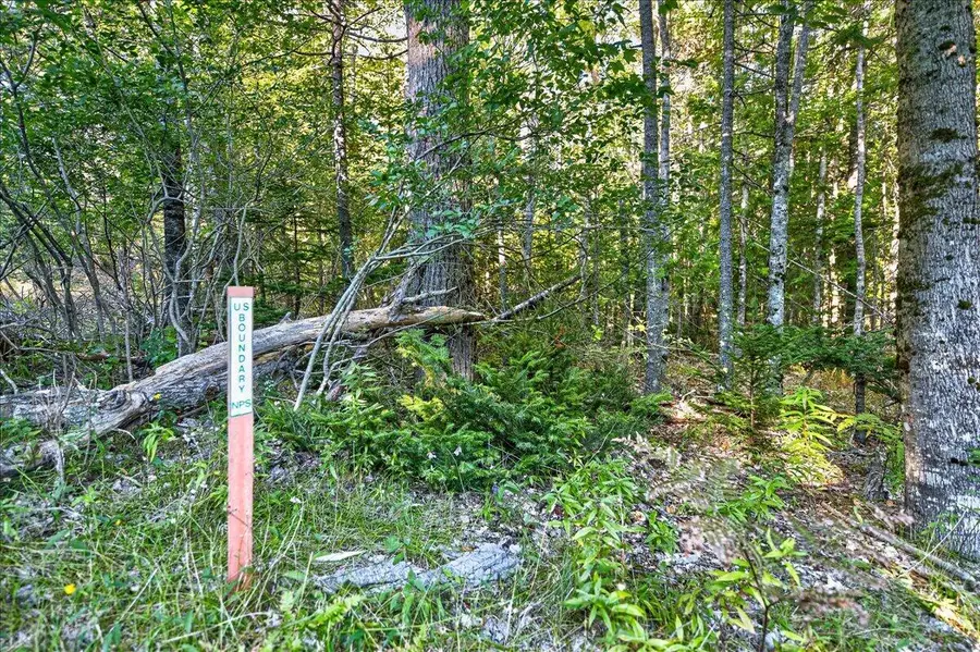 TBD Pretty Marsh Road, Mount Desert, ME 04660 - #3