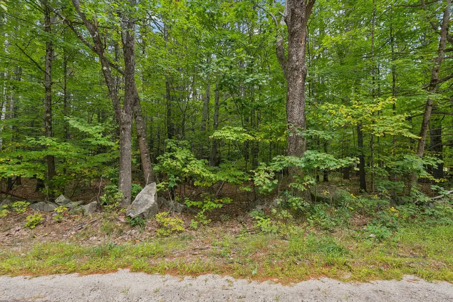 TBD Edes Falls Road, Harrison, ME 04040 - #3