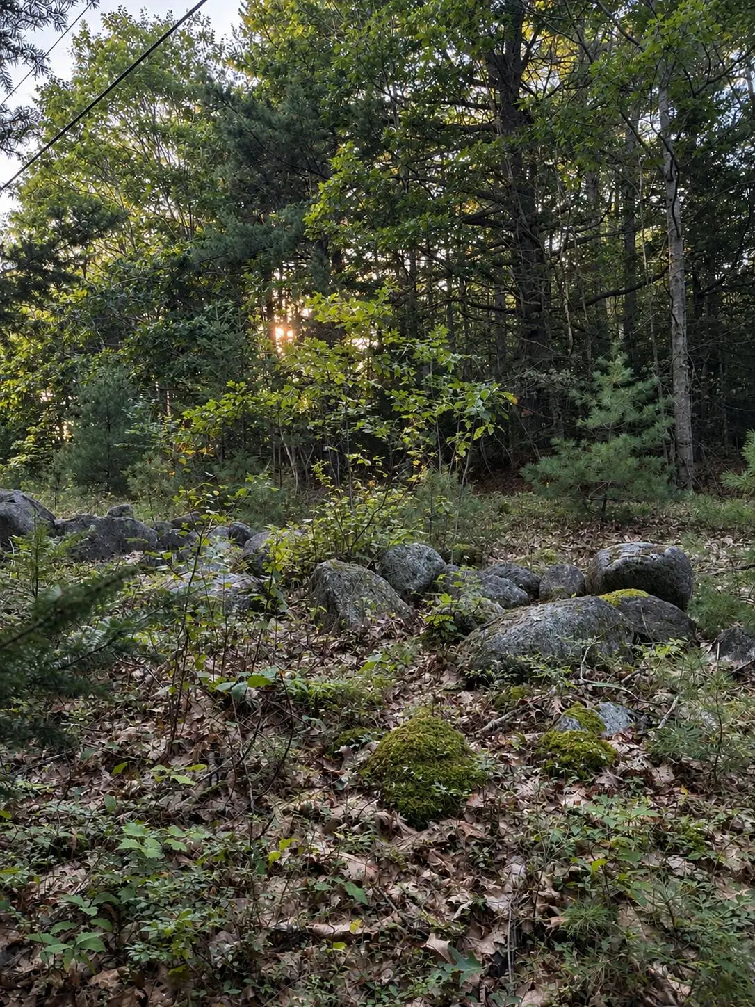 M10 L23-1 Blackswoods Road, Franklin, ME 04634 - #1