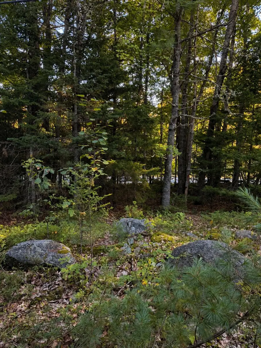 M10 L23-1 Blackswoods Road, Franklin, ME 04634 - #2