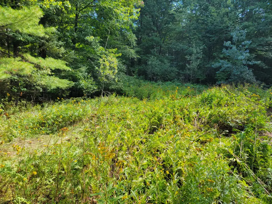 239 Folsom Pond Road, Lincoln, ME 04457 - #3