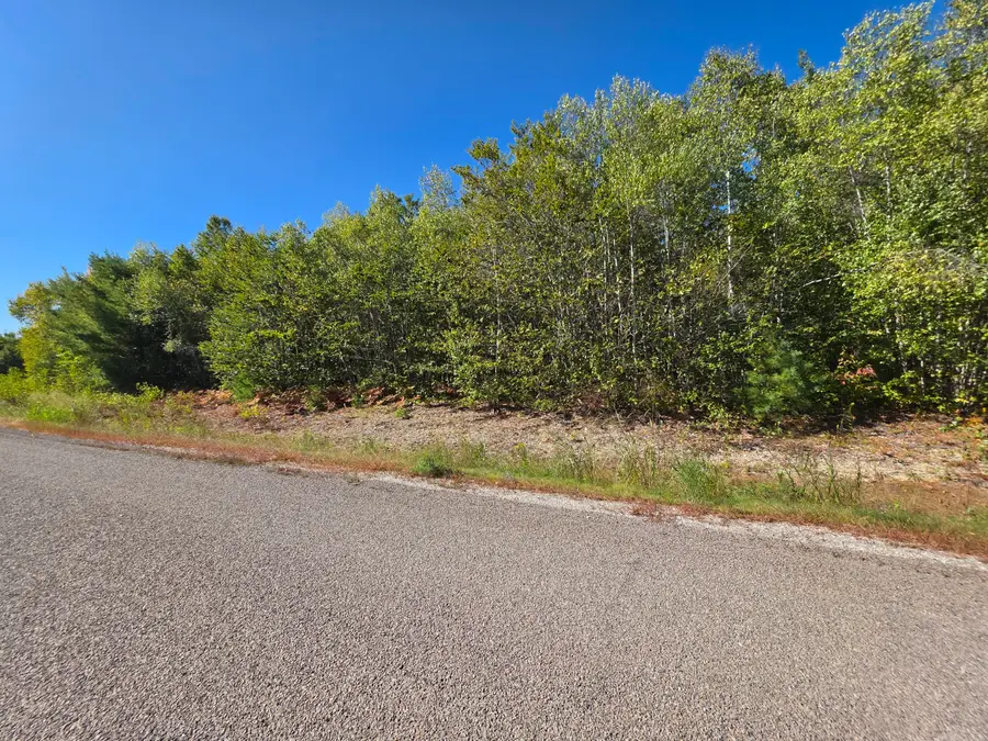 301 Tamarack Trail, Bangor, ME 04401 - #2