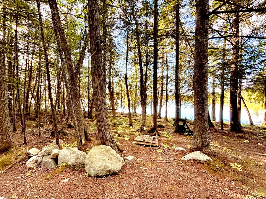 Lot 02 Flat Iron Pond Road Road, North Penobscot, ME 04462 - #3