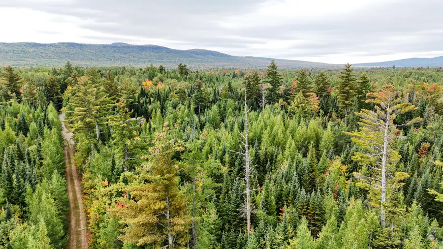 Lot H Stephensons Road, Coplin, ME 04982 - #3