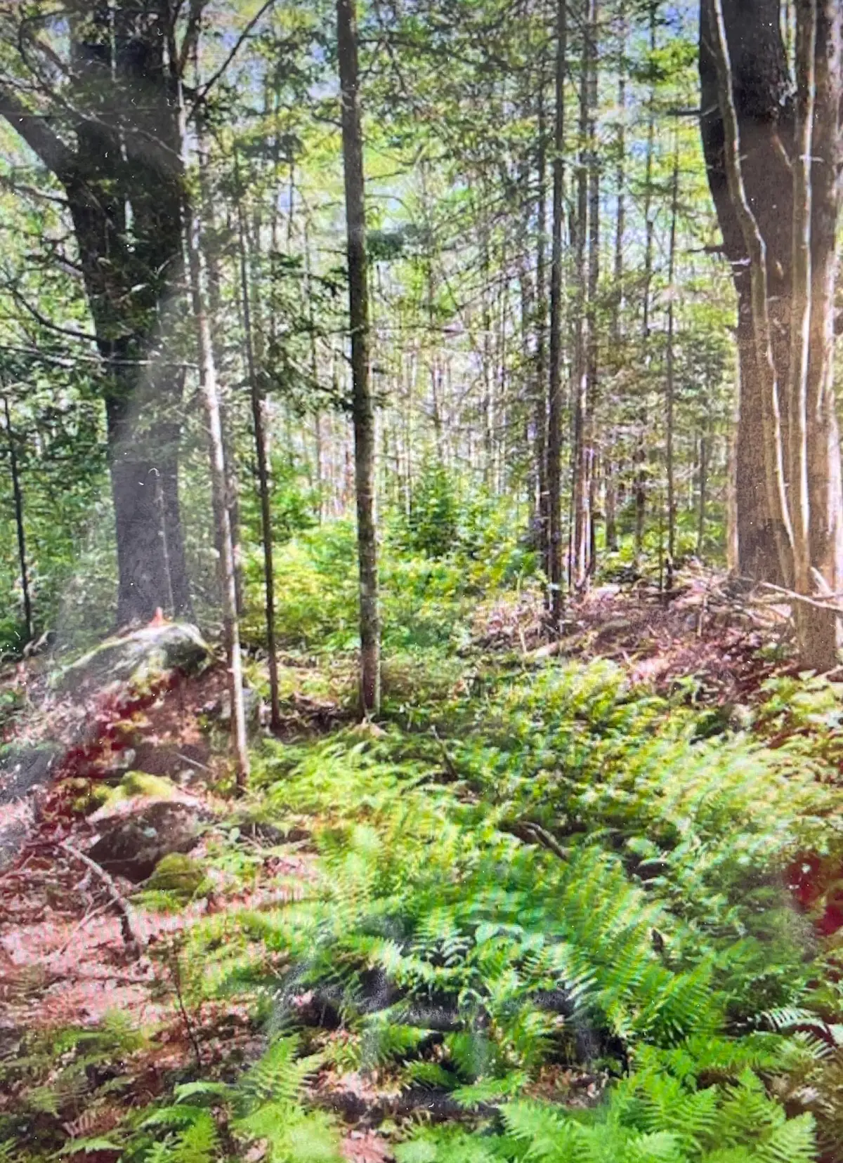 3 Stonewyck Lane, Damariscotta, ME 04543 - #1