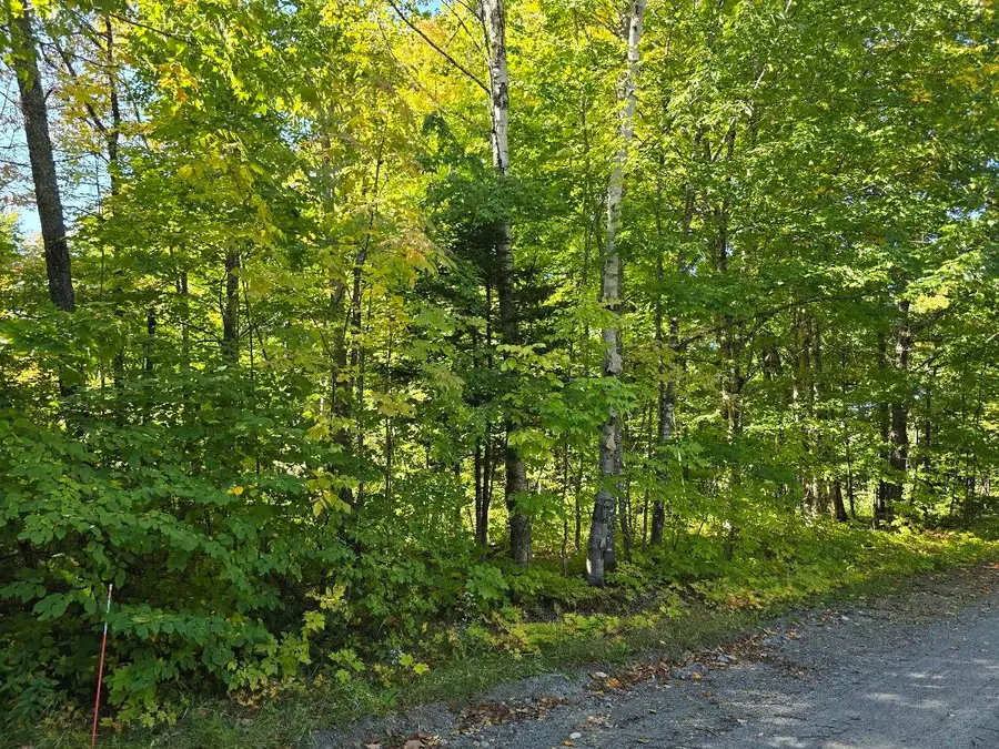 Lot# 30 Ladd Road, Northeast Piscataquis, ME 04414 - #3