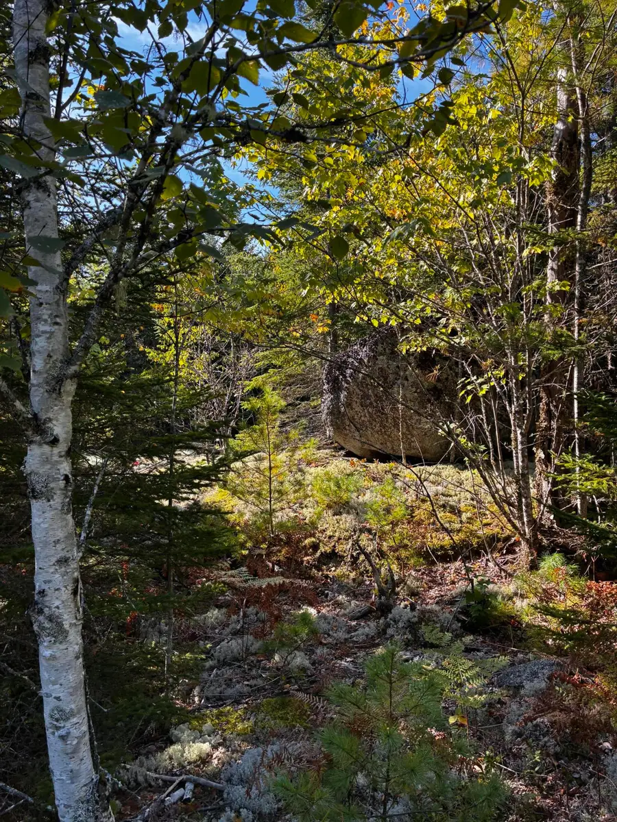 Lot #14/15 Bailey Mountain Road, Franklin, ME 04634 - #3