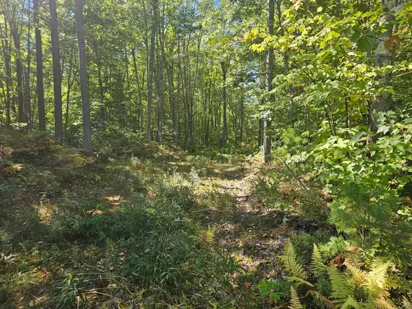 Lot 9F Pequawket Trail, Standish, ME 04084