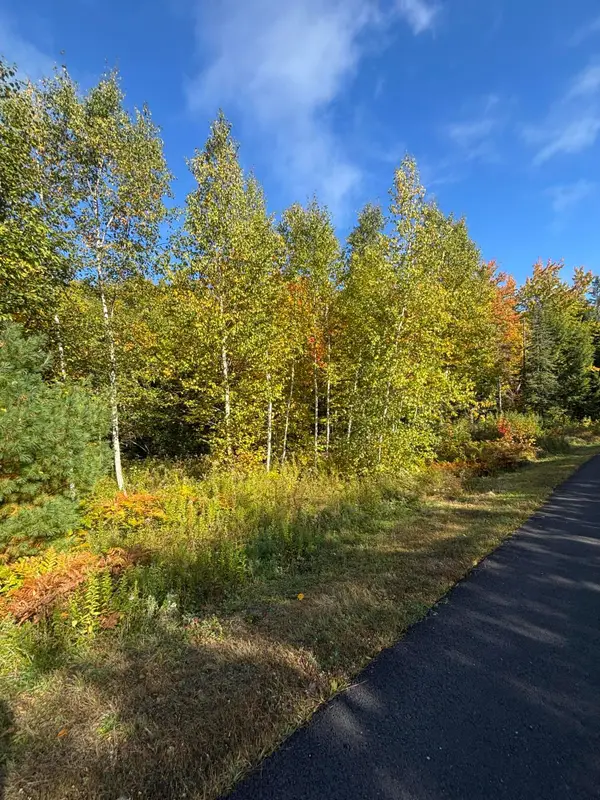 Lot #13 Pine Grove Lane, Etna, ME 04434