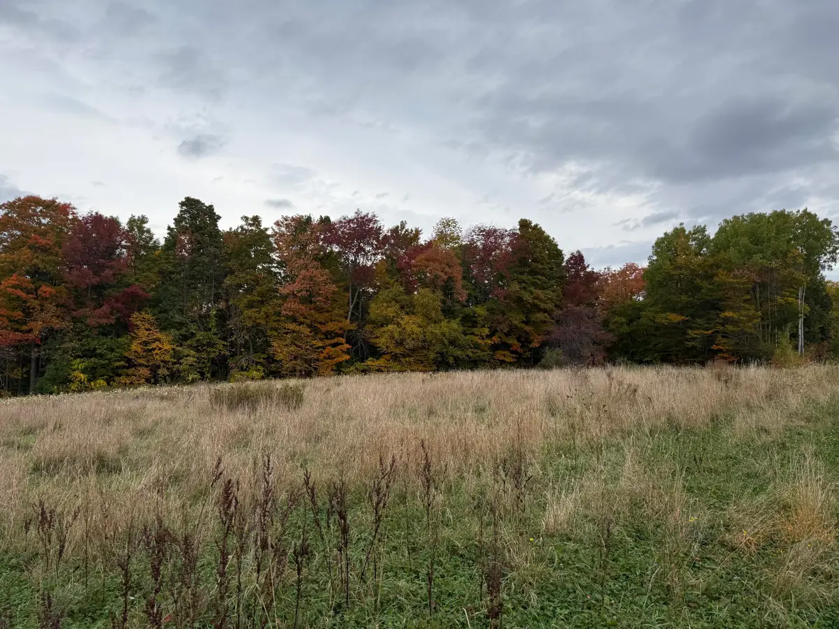 11 Osborne Road, Farmington, ME 04938 - #1