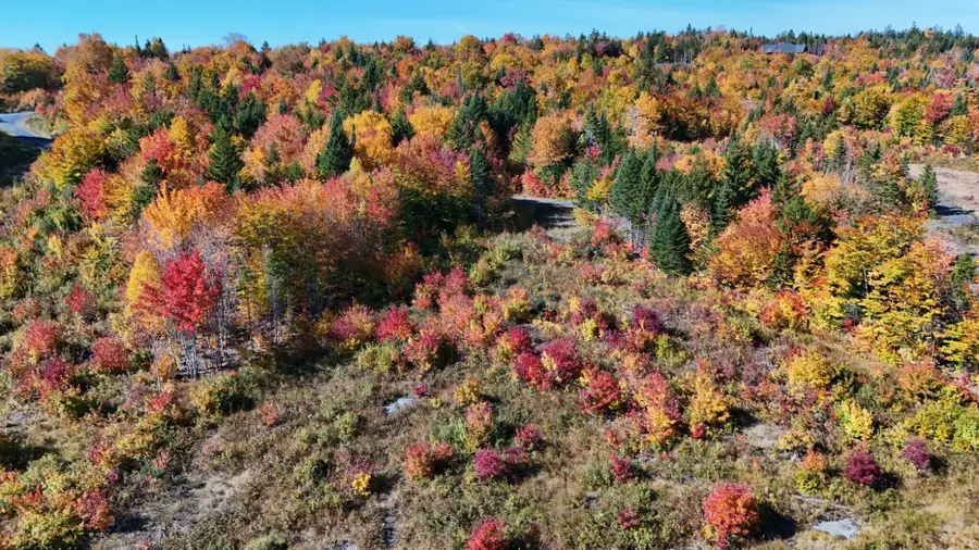 Lot 2 East Ridge Drive, Greenville, ME 04441 - #2