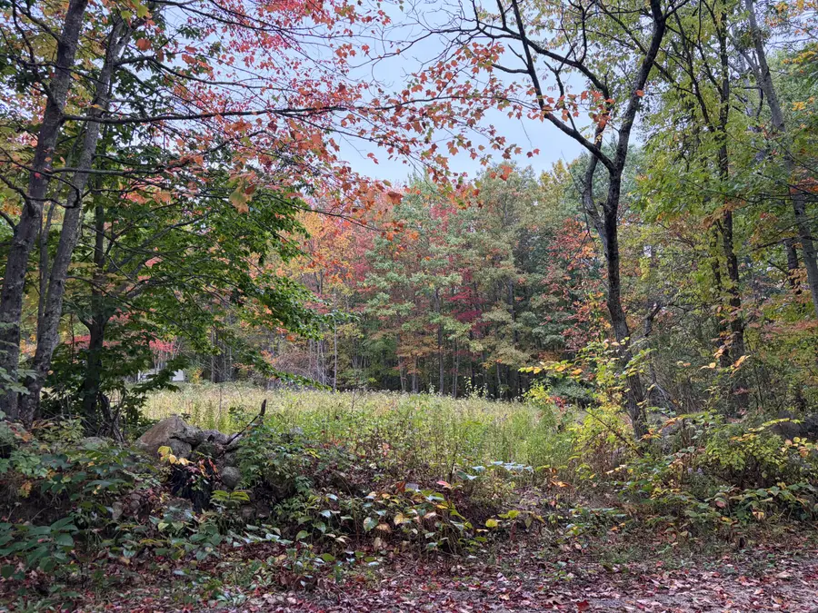 Lot 13-B2 S Town Farm Road, Oxford, ME 04270 - #2