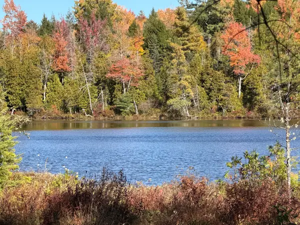 Map 302 Lot 70 Owlsboro Rd, Dexter, ME 04930