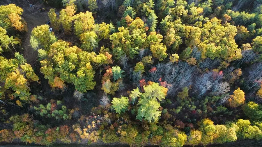 Lot 16 (2) Whittier Road, Farmington, ME 04938 - #2