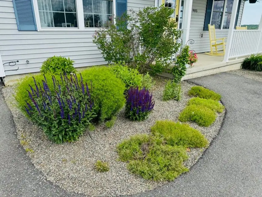 905 Blackstream Road, Hermon, ME 04401 - #2