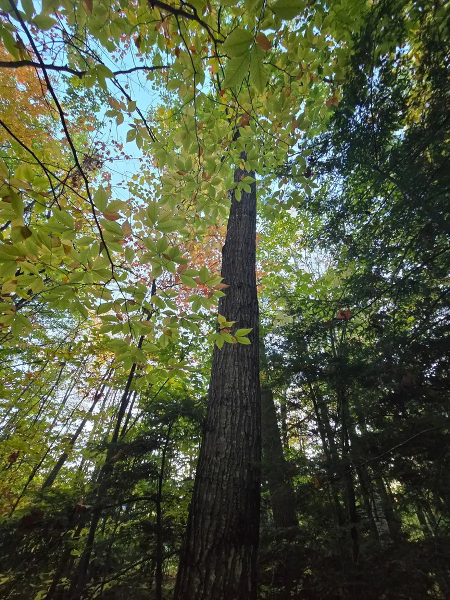 Lot 42 Summit Drive, Canton, ME 04221 - #3
