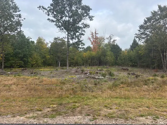 Lot #2 Branch View, Alfred, ME 04002 - #2