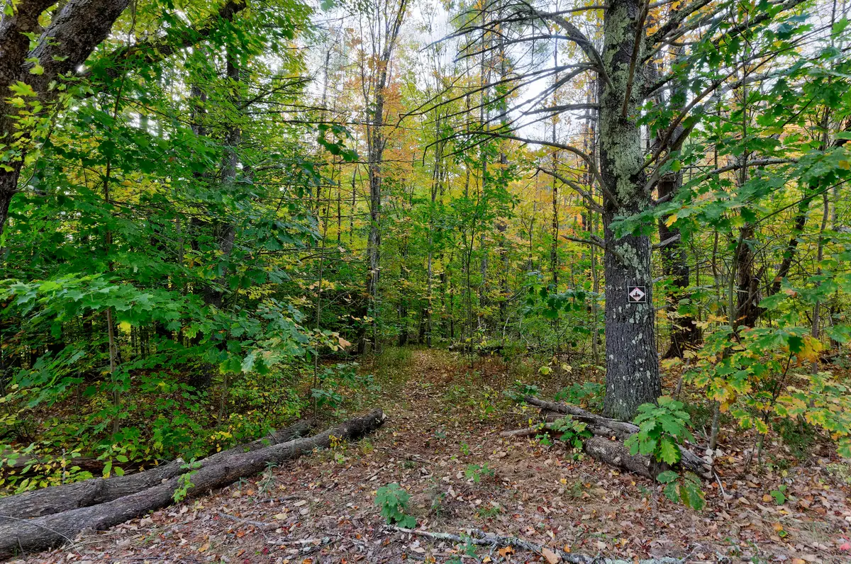45-28 Fairview Avenue, Gray, ME 04039 - #1