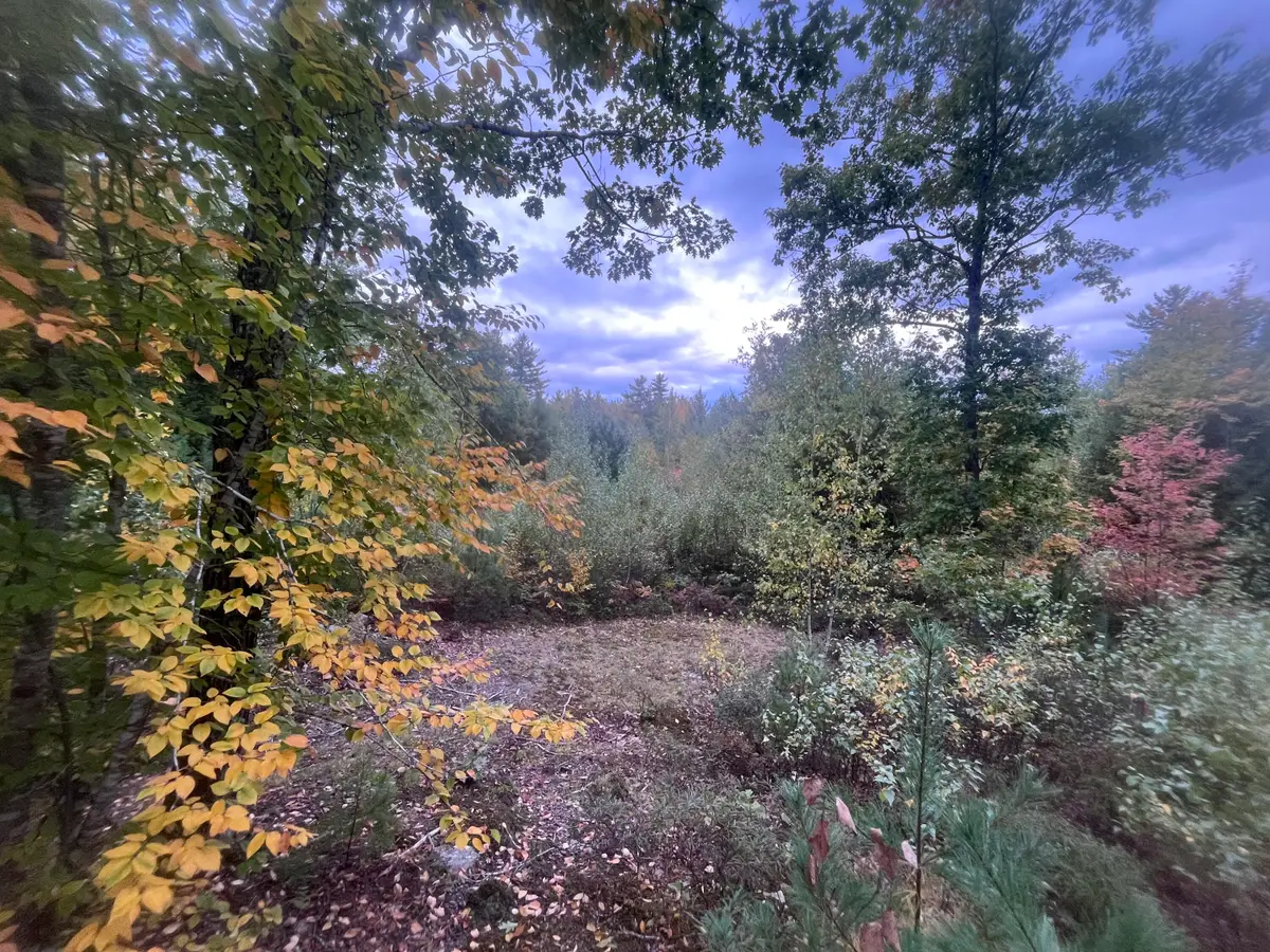 LOT 41 Turtle Trail, Alfred, ME 04002 - #1