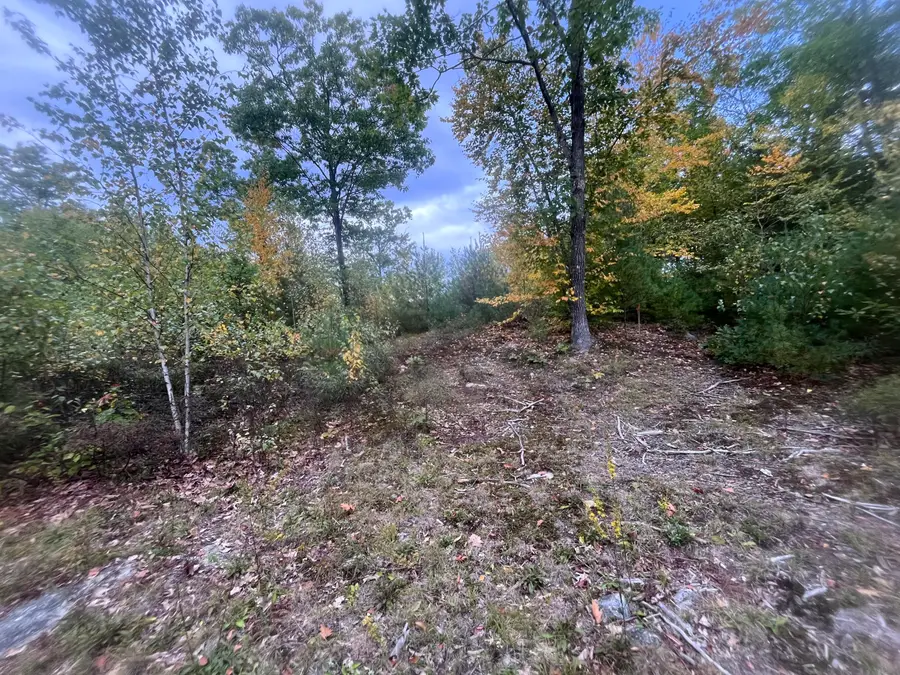 LOT 41 Turtle Trail, Alfred, ME 04002 - #3