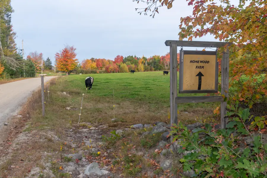 118 Ackley Farm Road, Blue Hill, ME 04614 - #3