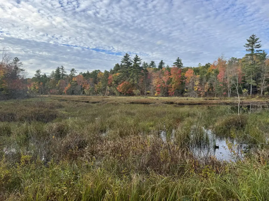 Lot 11 Spring Road, Newfield, ME 04095 - #2