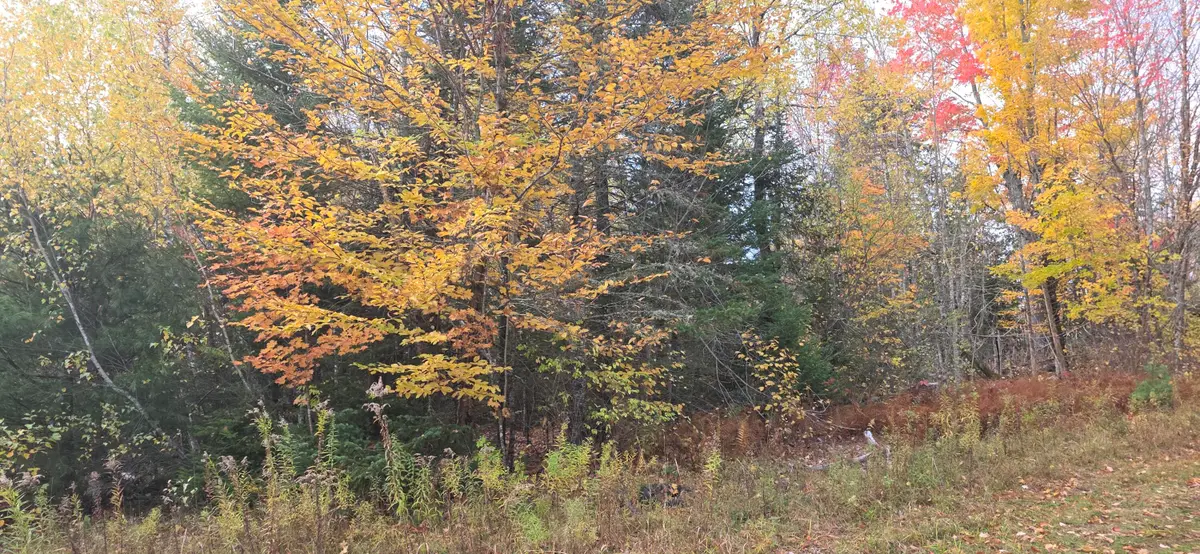 Lot 27 Murray Road, Thorndike, ME 04986 - #1