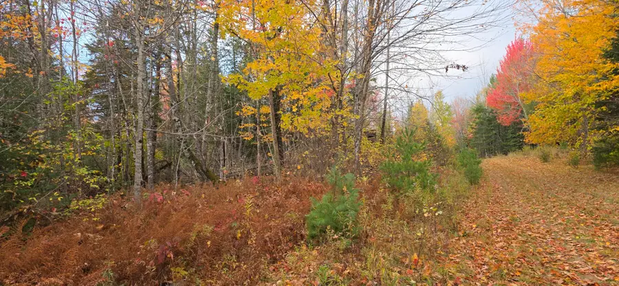 Lot 27 Murray Road, Thorndike, ME 04986 - #3