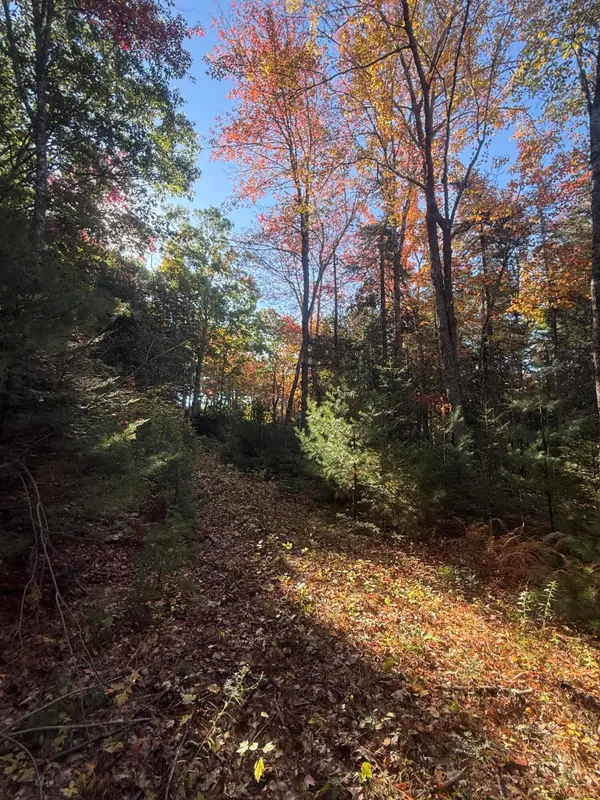 11&15 Bagaduce Lane, Sedgwick, ME 04676