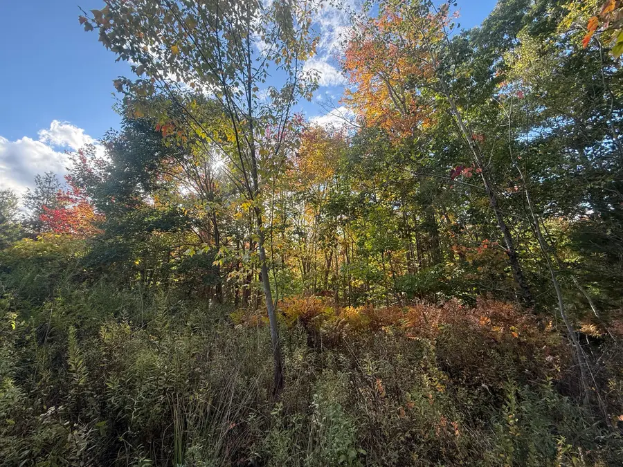 11&15 Bagaduce Lane, Sedgwick, ME 04676 - #2