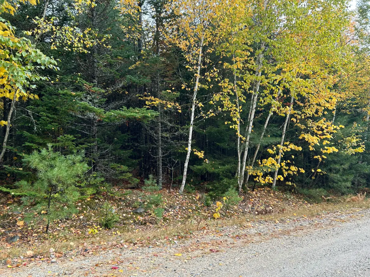 9 Pret's Meadow Lane, Blue Hill, ME 04614 - #1