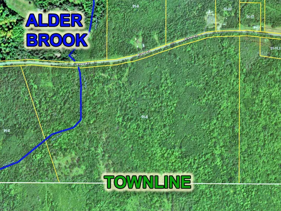 Lot 6  Brewer Road, South Aroostook, ME 04471 - #3