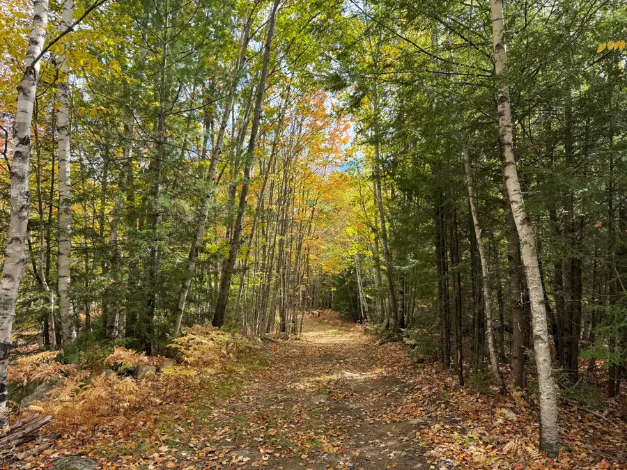 0 Holt Road, Norway, ME 04268 - #2