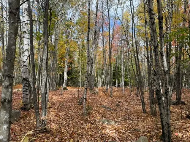 0 Holt Road, Norway, ME 04268 - #3