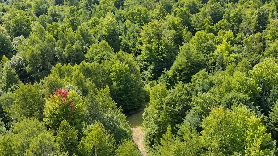 0 Goodwin Road #Lot 4, Carthage, ME 04224 - #3