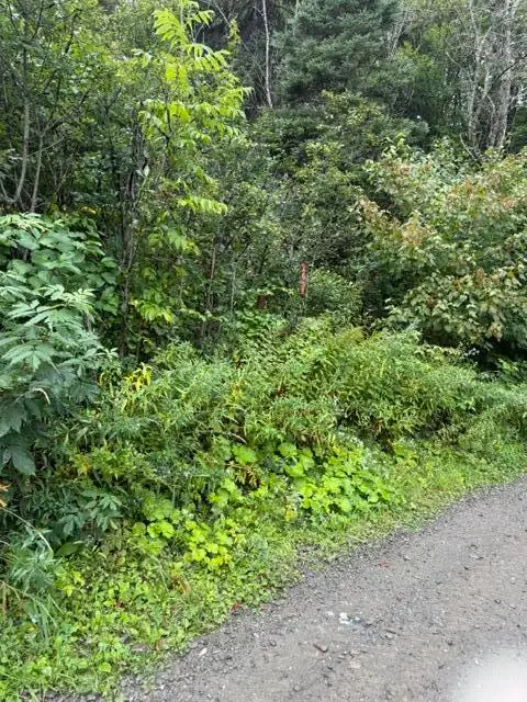 M 29 L 27 Gagnon Road, Madawaska, ME 04756 - #1