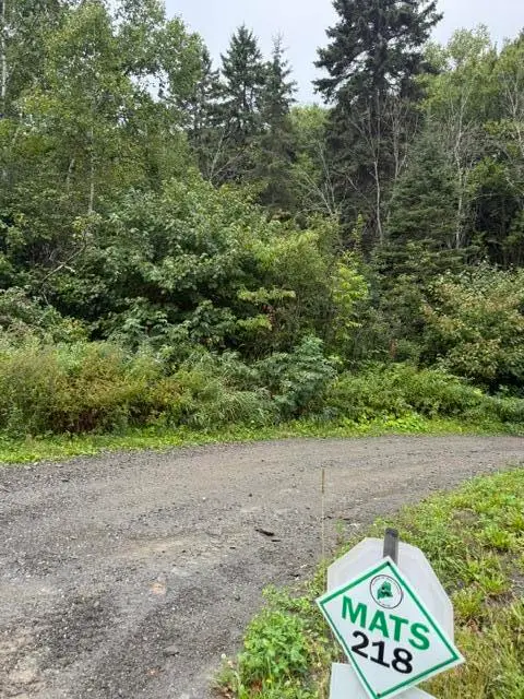 M 29 L 27 Gagnon Road, Madawaska, ME 04756 - #3