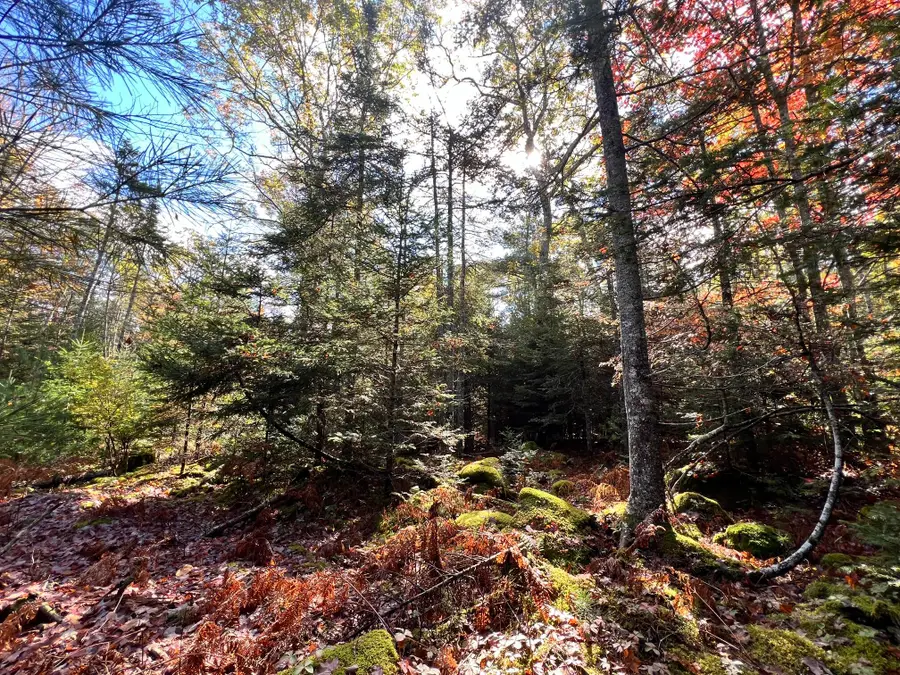 Lot #E Windsong Way, Walpole, ME 04573 - #3