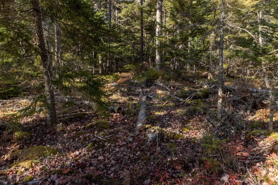 27-10-4E2A Pine Cone Lane, Surry, ME 04684 - #2