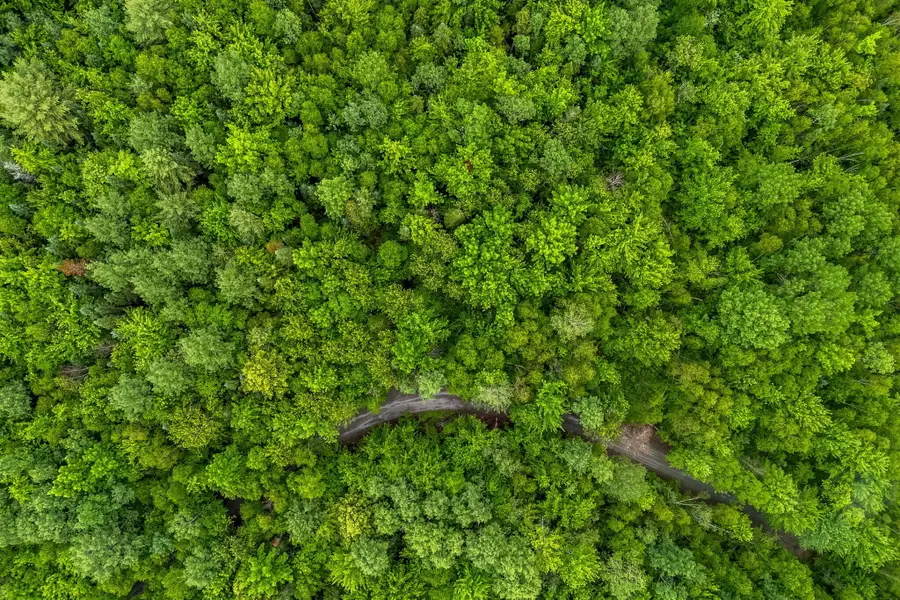 3-5 Gravy Lane, Bradford, ME 04410 - #3