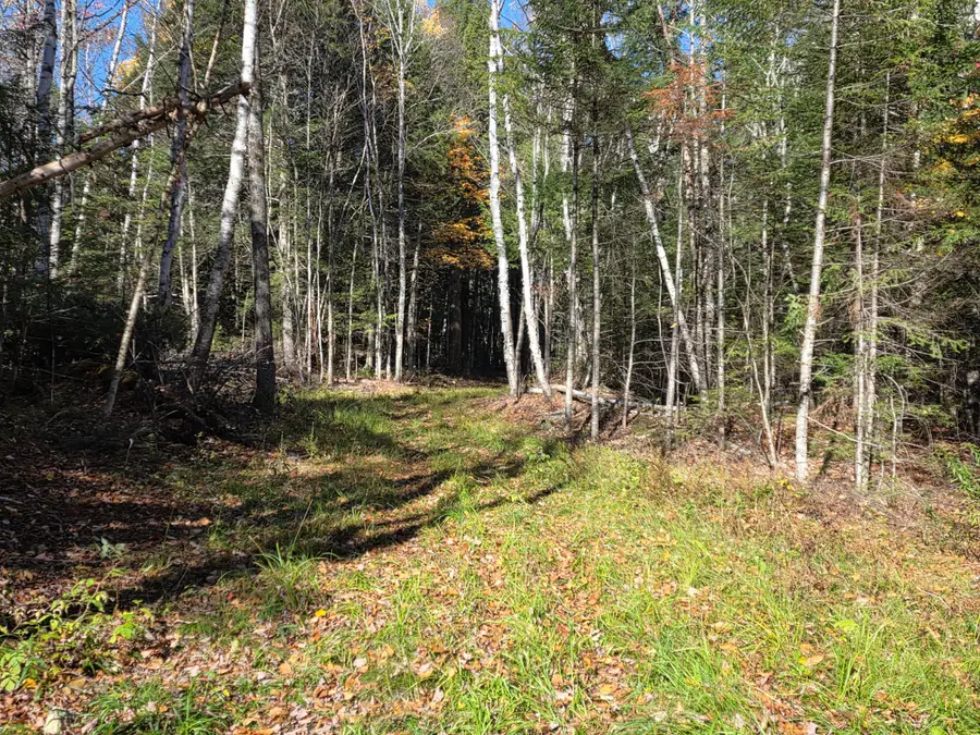 00 Casey Road, Benedicta, ME 04733 - #3