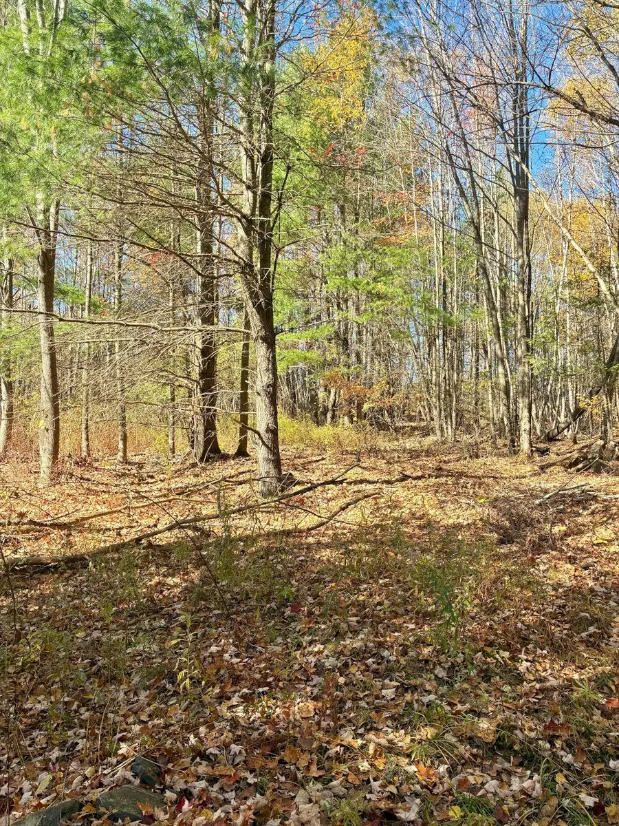 M 5-L30-1 Seamon Road, Farmington, ME 04938 - #3