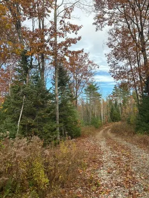 187 Farmington Falls Road, New Sharon, ME 04955 - #1