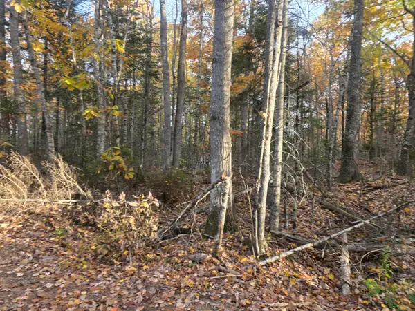 Lot 2 W Cider Mill Lane, Swanville, ME 04915