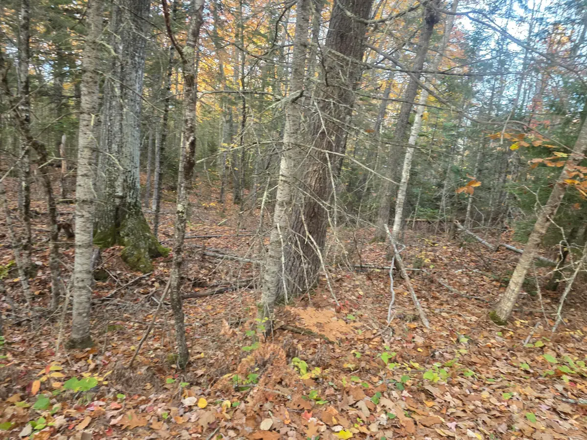 Lot 1 W Cider Mill Lane, Swanville, ME 04915 - #1