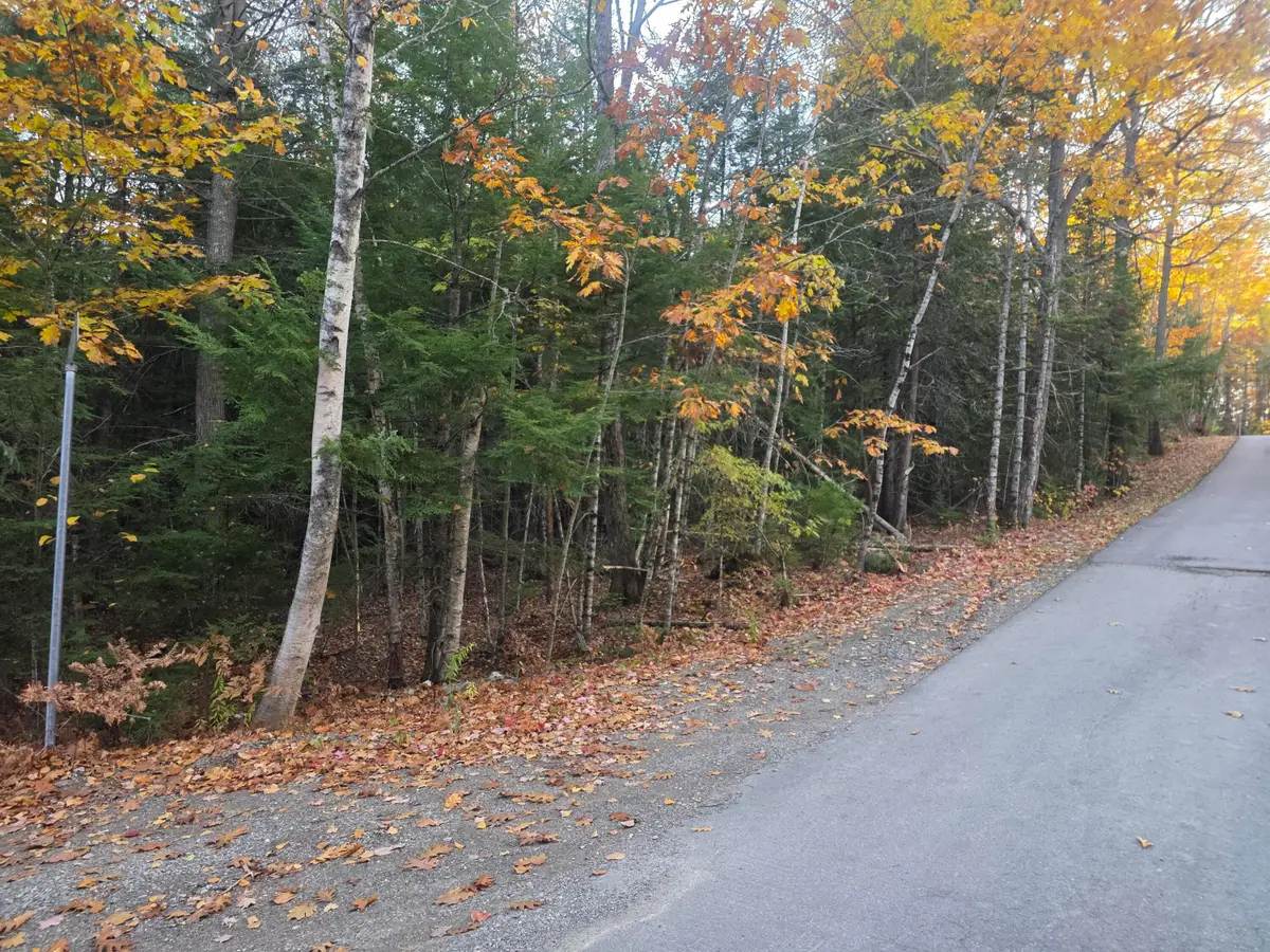 Lot10(16E) W Cider Mill Lane, Swanville, ME 04915 - #1