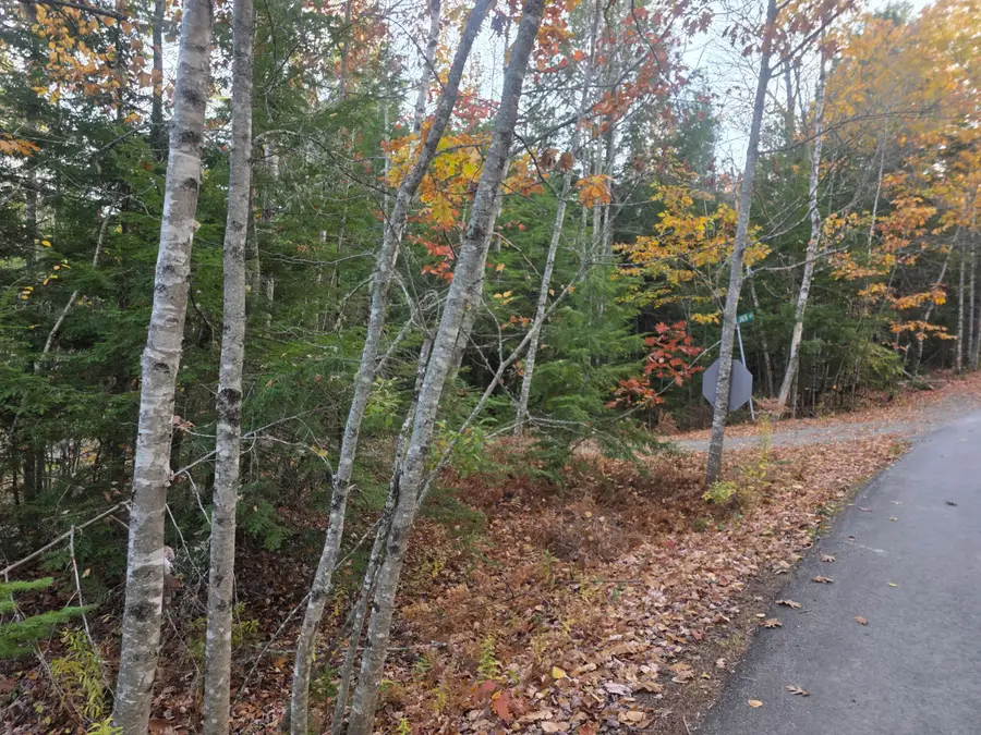 Lot10(16E) W Cider Mill Lane, Swanville, ME 04915 - #3